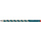 STABILO Crayon d'apprentissage EASYgraph R, ptrole