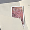 sigel Carnet de notes Conceptum, A4, lign, beige