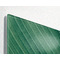 sigel Tableau magntique en verre Artverum Design Palm Leaf