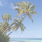 sigel Sous-main bloc papier "Beach", 595 x 410 mm