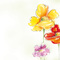 sigel Papier  motif, A4, 90 g/m2, motif "Spring Flowers"