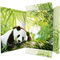 RNK Verlag Pochette  dessins "Panda", A3