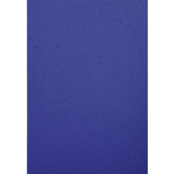 EXACOMPTA couverture de reliure FOREVER, A4, bleu fonc