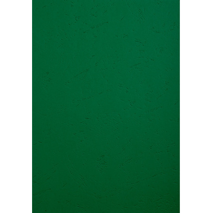 EXACOMPTA Couverture de reliure FOREVER, A4, vert