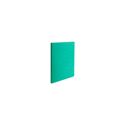 EXACOMPTA Chemise LUSTRO dos rain, 240 x 320 mm, vert