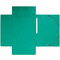 EXACOMPTA Chemise  lastiques Maxi Capacity, A4, vert