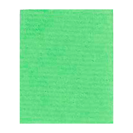 Clairefontaine Papier cadeau "kraft", vert bourgeon